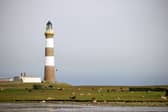 Sheep graze near the lighthouse on North Ronaldsay, Orkney (Picture: Adrian Dennis)