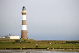 Sheep graze near the lighthouse on North Ronaldsay, Orkney (Picture: Adrian Dennis)