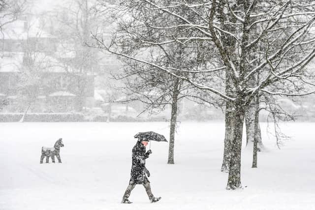A member of the public walks through the snow in Victoria Park in Glasgow in February 2021 (Photo: ANDY BUCHANAN/AFP via Getty Images)