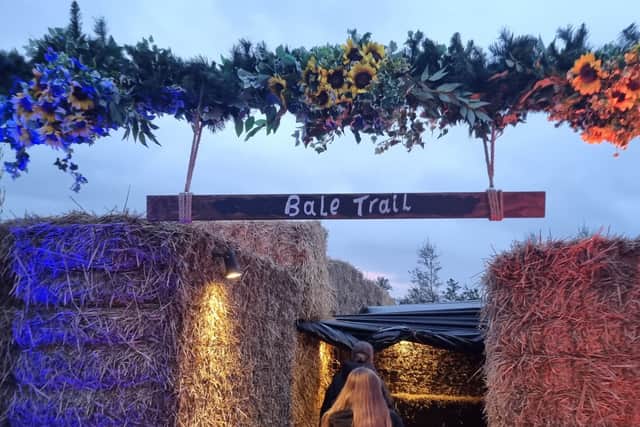 Entering the Bale Trail