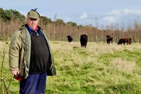 Farmer Ruaridh Ormiston researching tauros in the Netherlands 