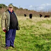 Farmer Ruaridh Ormiston researching tauros in the Netherlands 