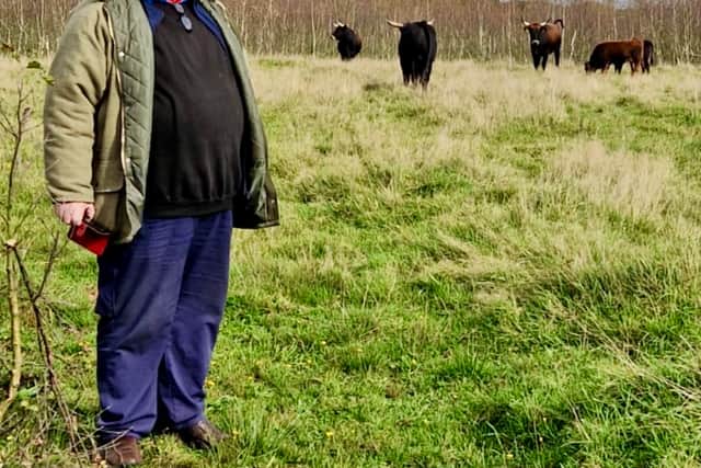 Farmer Ruaridh Ormiston went to visit tauros cattle in the Netherlands after Trees for Life announced they will be introducing the species to Scotland
