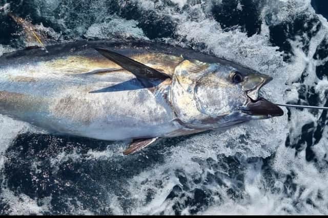 While the UK has sanctioned recreational catch and release, the UK Government said there is currently not a catch and release recreational fishery in Scotland.