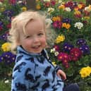 Xander Irvine was killed in the Morningside crash