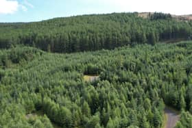 Leitters Forest, which is home to a historic gold mine, has come on the market for offers near £2 million