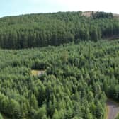 Leitters Forest, which is home to a historic gold mine, has come on the market for offers near £2 million