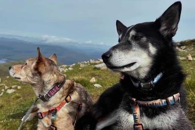 Left to right: Carver and Roo were both killed in the incident