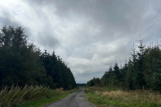 Conifer forests, with predominantly Sitka spruce, next to Langholm