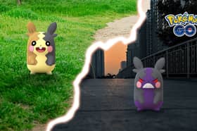 Morpeko is making its debut in Pokemon Go