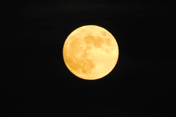 The Beaver Supermoon will be visible in the night sky in the middle of November.