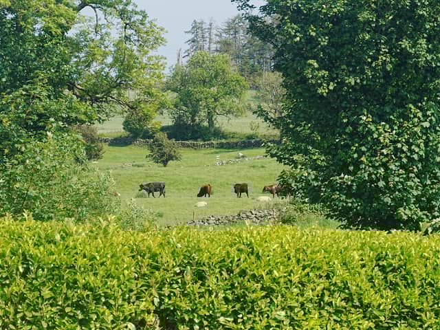 The farming community has urged the Labour government to keep the tax relief on agriculture property ahead of the Autumn budget announcement 
