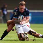 Montpellier's Stuart Hogg has suffered a hand injury and is likely to be out for up to five weeks.