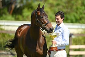 Without A Fight won the Melbourne Cup in 2023.