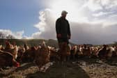 Farms may have a high value on paper but the profit margins can be small (Picture: Jeff J Mitchell)