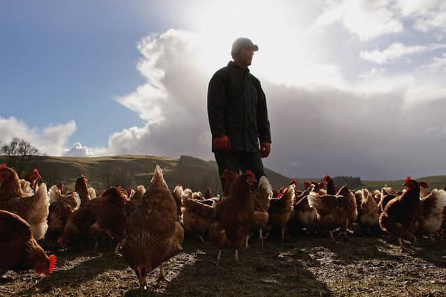 Farms may have a high value on paper but the profit margins can be small (Picture: Jeff J Mitchell)