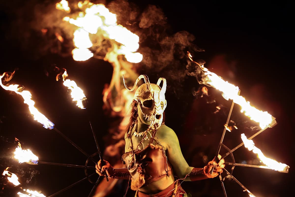 Veterans day freebies 2024 dallas Veterans day freebies 2024 dallas