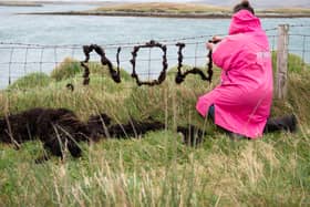 In a turbulent year in the arts in Scotland, marked by protests over funding cuts and an imminent review of Creative Scotland by the Scottish government, #EvenHereEvenNow will platform artists who are often marginalised in a debate dominated by voices from the central belt. 