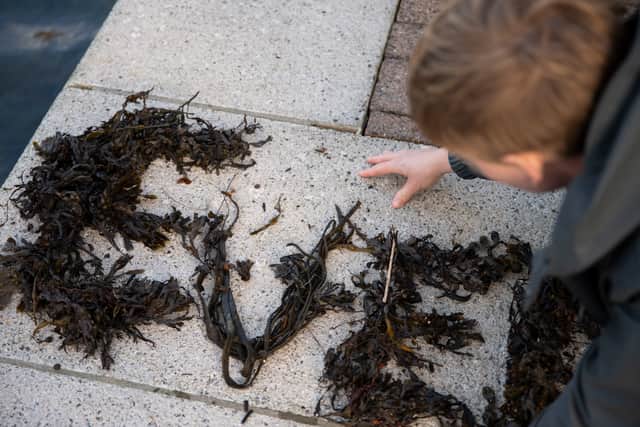 The campaign builds on the work of Even Here, Even Now, a 2024 manifesto jointly created by a group of artists living and working in Shetland, Orkney, Uist, and the Isle of Lewis.