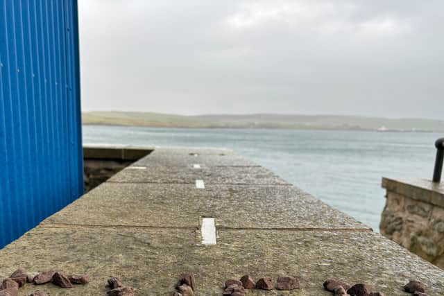 Campaigners have been using seaweed, stones and wool to spread the message