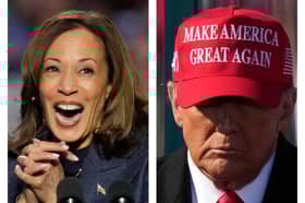 Kamala Harris is up against Donald Trump in the US presidential election - and these are the states likely to decide the outcome
