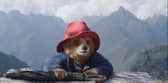 Paddington in Peru