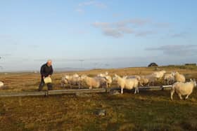 David Muir, a crofter in the Outer Hebrides which is home to the Machair 