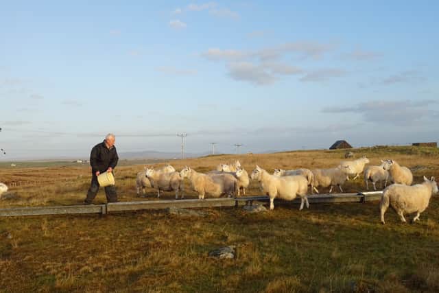 David Muir, of the Scottish Crofting Federation, said the issue with the Greylag Geese is only increasing despite previous efforts to reduce numbers