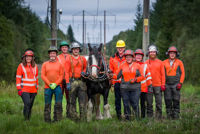 SSEN uses horses to help with timber clear up in transmission projects for the first time