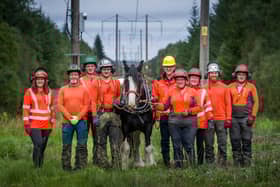 SSEN uses horses to help with timber clear up in transmission projects for the first time 