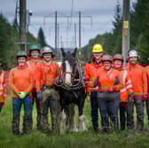 SSEN uses horses to help with timber clear up in transmission projects for the first time 