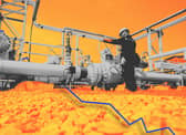 Engineering firm Wood Group has seen its shares plummet to a more than 20-year low after launching a review of the business following recent write-downs on projects.