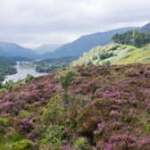 Glen Affric is one of the finest spots in Scotland. 