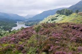 Glen Affric is one of the finest spots in Scotland. 