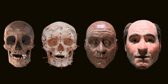 A facial reconstruction of Trimontium Man who was found buried in a pit in the shadows of one of Scotland's largest Roman forts. PIC: Trimontium Museum.