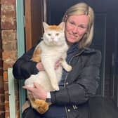 The missing cat, from Cumbernauld near Glasgow, has stunned its owners after disappearing before turning up 300 miles away in Coventry. Picture: Cats Protection/PA Wire