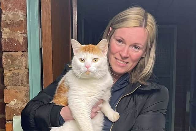The missing cat, from Cumbernauld near Glasgow, has stunned its owners after disappearing before turning up 300 miles away in Coventry. Picture: Cats Protection/PA Wire