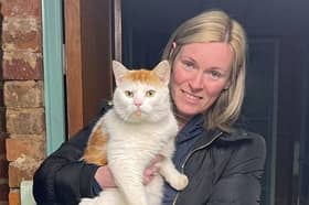 The missing cat, from Cumbernauld near Glasgow, has stunned its owners after disappearing before turning up 300 miles away in Coventry. Picture: Cats Protection/PA Wire