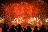 Fireworks displays can be beautiful, but they also terrify some animals to death (Picture: Lam Yik Fei)