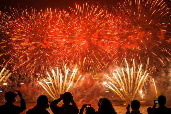 Fireworks displays can be beautiful, but they also terrify some animals to death (Picture: Lam Yik Fei)