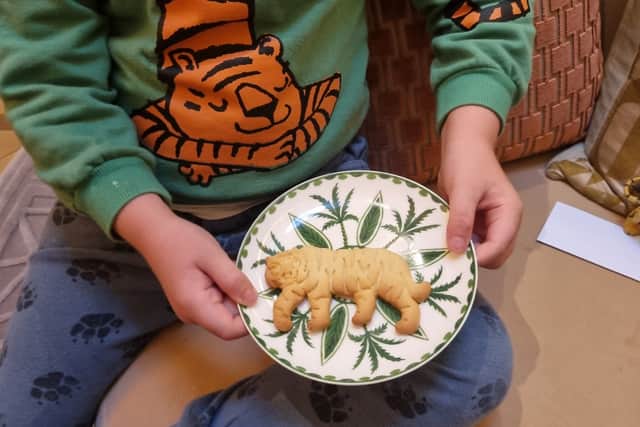 The tiger biscuit
