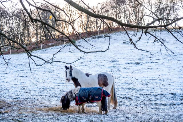 Temperatures in Aberdeenshire were at their coldest level for early winter since 1998.
