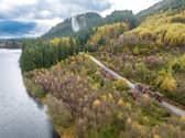 Land with natural capital potential dropped 44% to £3,100 per gross hectare in Scotland, according to the report, which industry leaders say was distorted by a couple of highland estates offered at relatively low prices