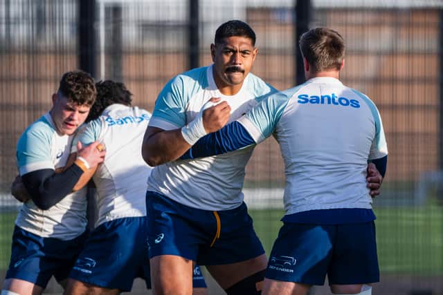 Will Skelton during an Australia training session at Peffermill Playing Fields on November 20, in Edinburgh, Scotland.  (Photo by Paul Devlin / SNS Group)
