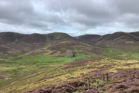 Campaigners have flagged various environmental concerns over the forest project at Stobo Hope.