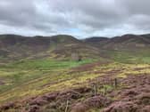 Stobo Hope, where campaigners forced the planting of a commercial forest on black grouse moorlands in the Scottish Borders to be halted after taking the decision to court over environmental concern. 