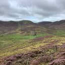 Stobo Hope, where campaigners forced the planting of a commercial forest on black grouse moorlands in the Scottish Borders to be halted after taking the decision to court over environmental concern. 