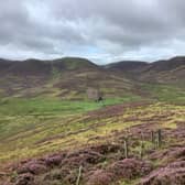 Campaigners have flagged various environmental concerns over the forest project at Stobo Hope.