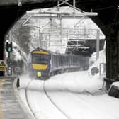 ScotRail trains will need to be cancelled due to the fallen tree. Picture: Michael Gillen