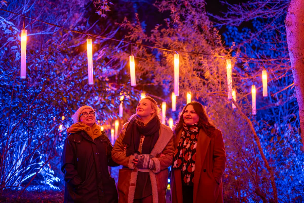 Christmas At The Botanics 2025